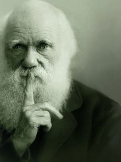 Darwin deep in thought.